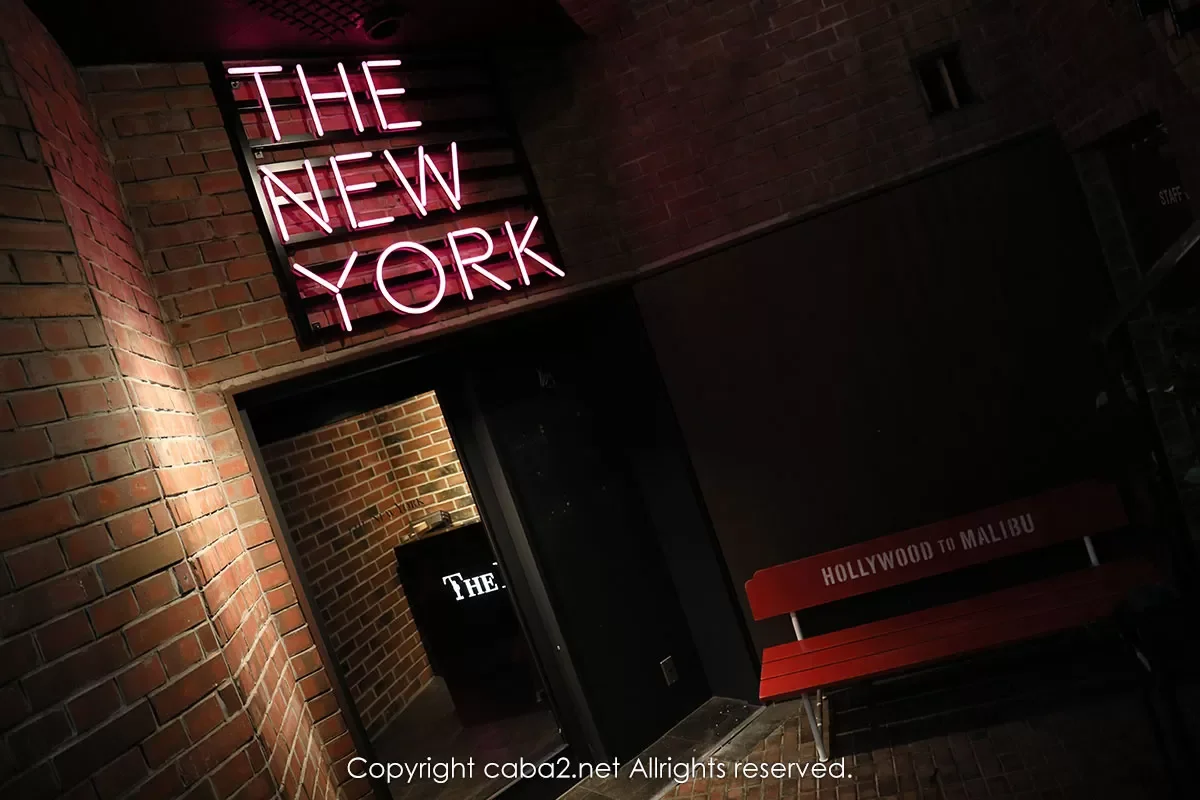 THE NEW YORK22